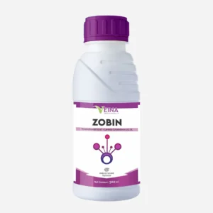 Zobin